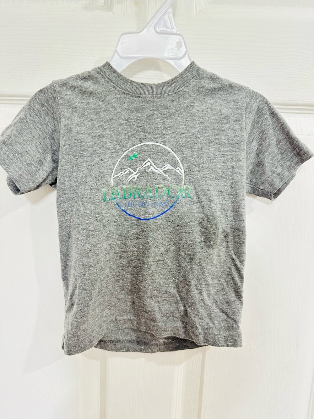 Kids Gray Labrador Graphic Tee with Mountain Logo